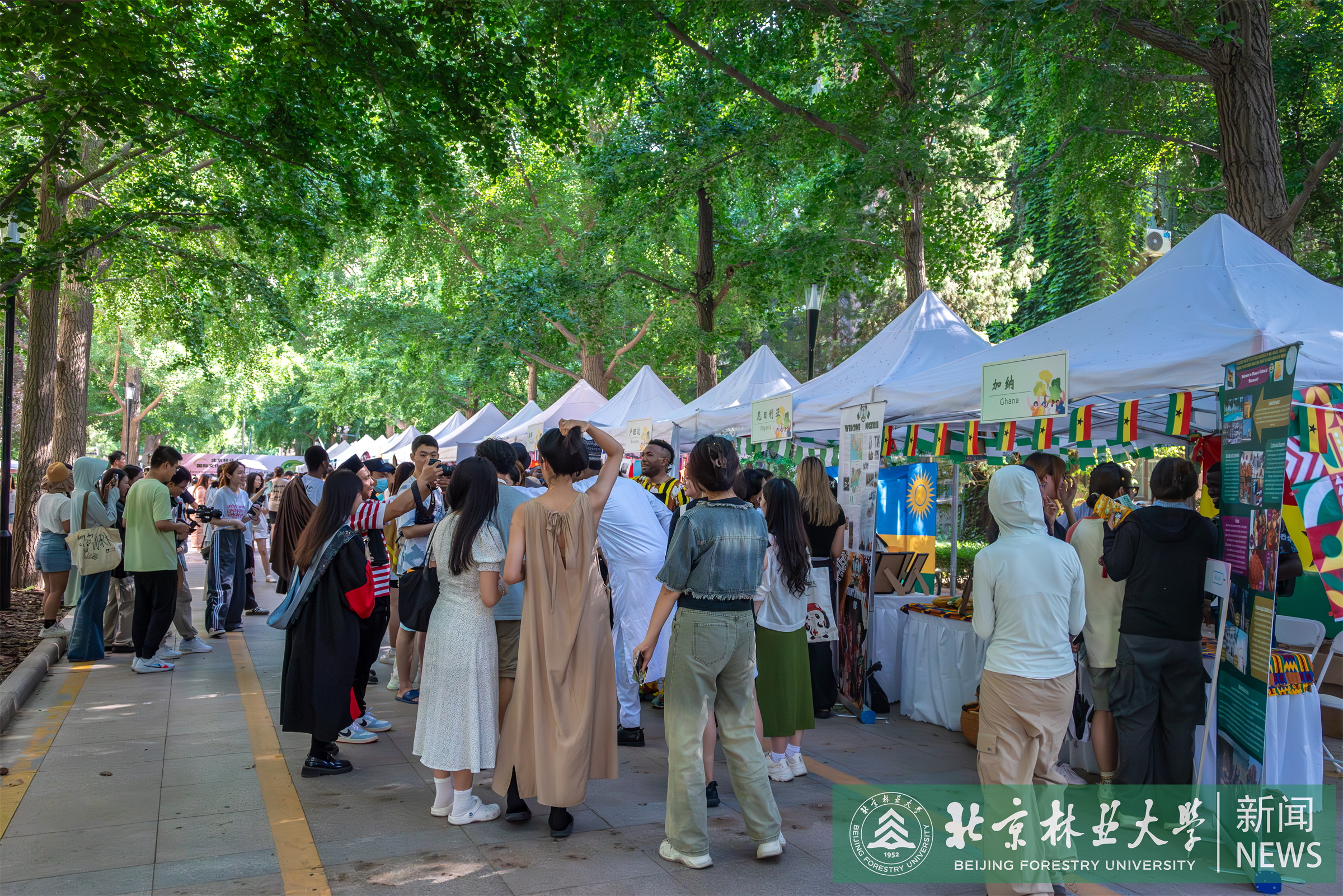 DSC_2496-已增強-降噪.jpg