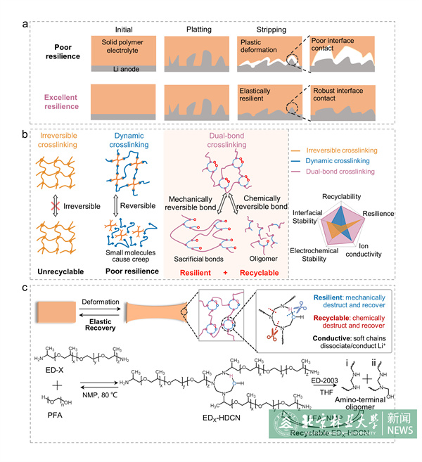 20240611材料學(xué)院青年教師在《Angew. Chem.》發(fā)表研究成果.jpg